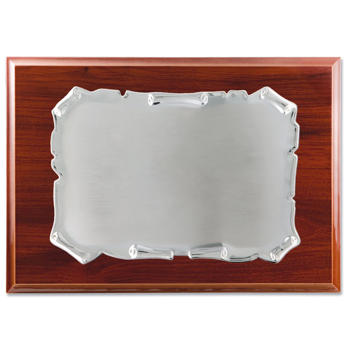 PLACA HOMENAJE ACERO - 26X21 19X13